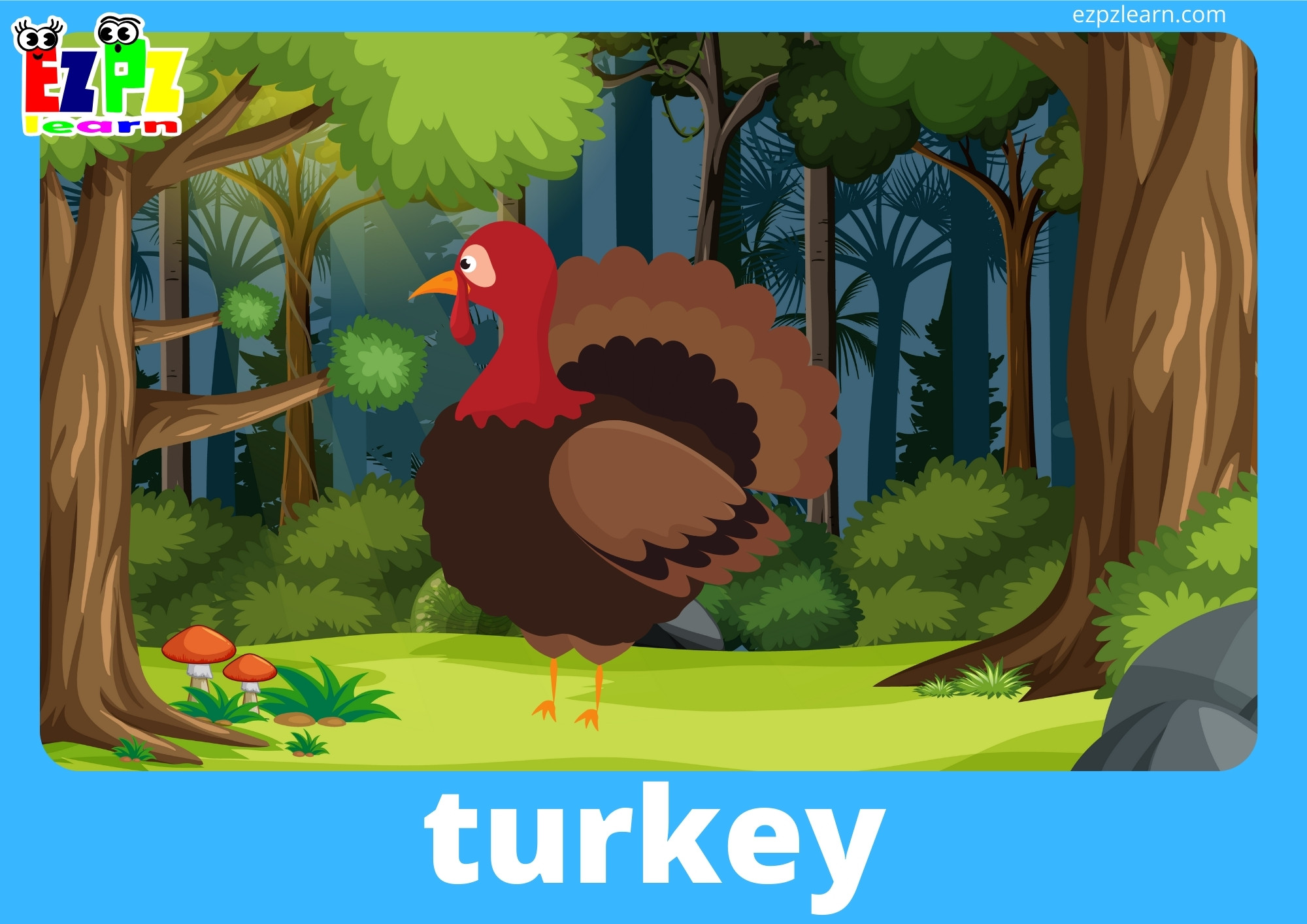 turkey